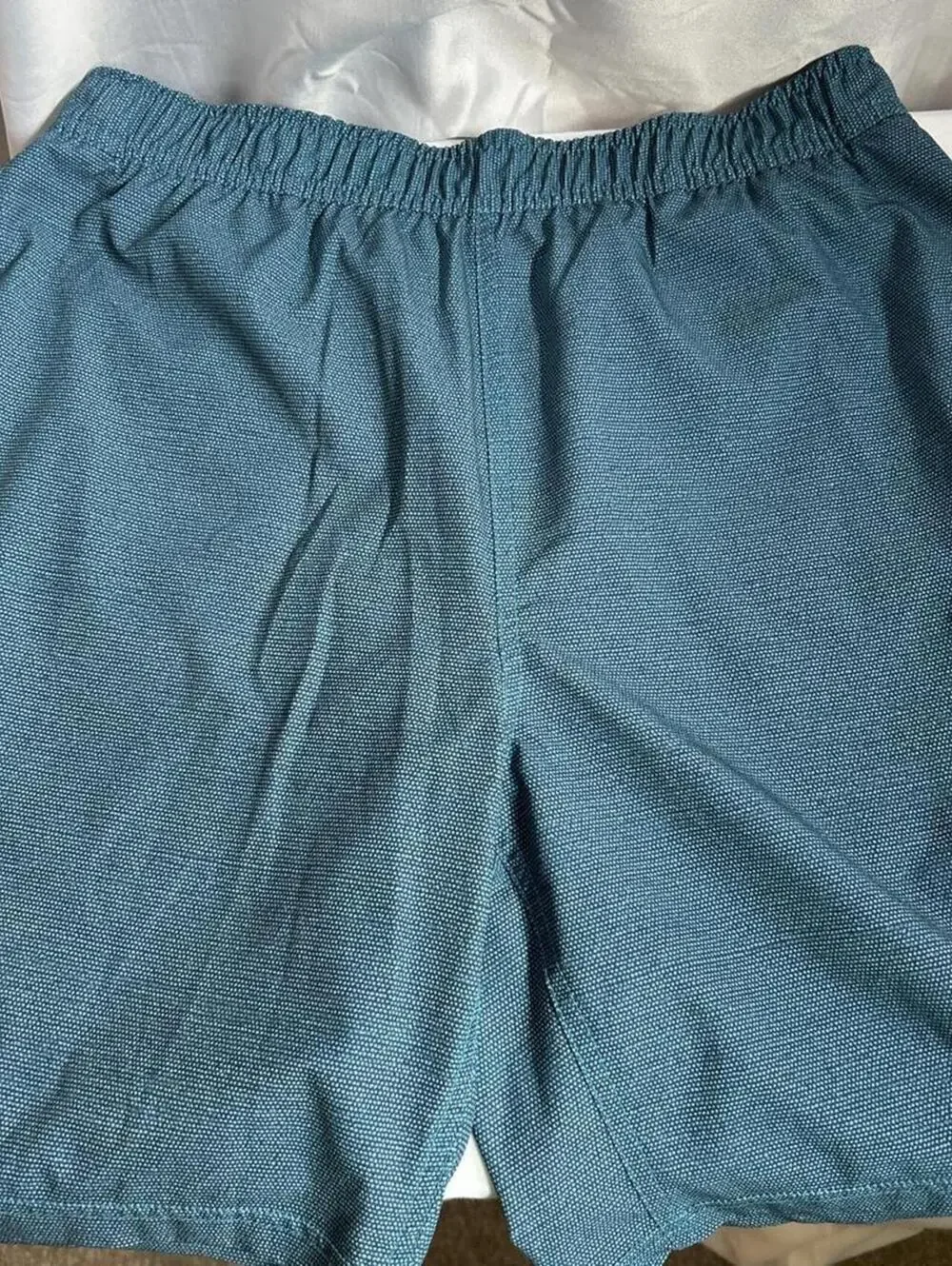Speedo Men's Blue and Green Swim-briefs-short